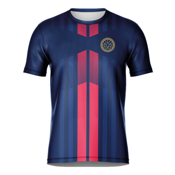 Camiseta personalizada MSN